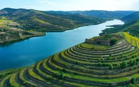 重點(diǎn)行業(yè)VOCs治理“一企一策”！寧夏空氣質(zhì)量持續(xù)改善行動(dòng)實(shí)施方案公開征求意見