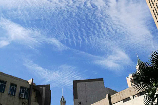 微塑料污染與氣候變暖風(fēng)險(xiǎn)疊加，升級(jí)全球環(huán)境風(fēng)險(xiǎn)