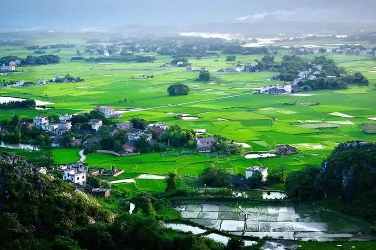 政府工作報(bào)告出爐，2025年生態(tài)環(huán)保工作這么干！