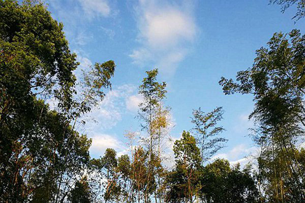 包河區(qū)生態(tài)環(huán)境分局：藍(lán)天不是等出來(lái)的，是干出來(lái)的