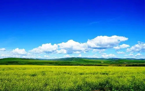 深港強化生態(tài)環(huán)境領(lǐng)域規(guī)則銜接與機制對接，攜手共赴美麗中國先行區(qū)之約 