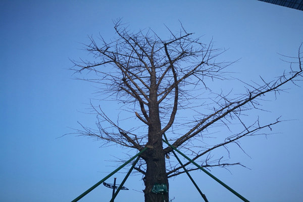 提“氣”質(zhì)丨打造2.0版本，實現(xiàn)“大數(shù)據(jù)”精準(zhǔn)治污