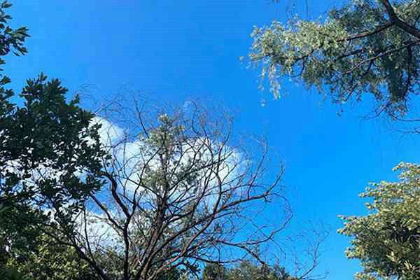 濟(jì)南高新區(qū)分局“四維聚力” 扎實(shí)推進(jìn)夏秋季大氣污染防治攻堅(jiān)