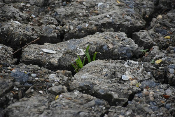 和田地區(qū)全域開(kāi)展危廢規(guī)范化評(píng)估 守護(hù)生態(tài)環(huán)境安全