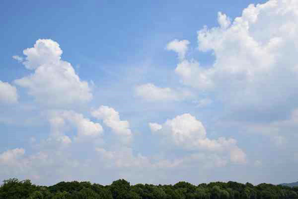 精準(zhǔn)“削峰”戰(zhàn)臭氧，全力守護(hù)“瓷都藍(lán)”