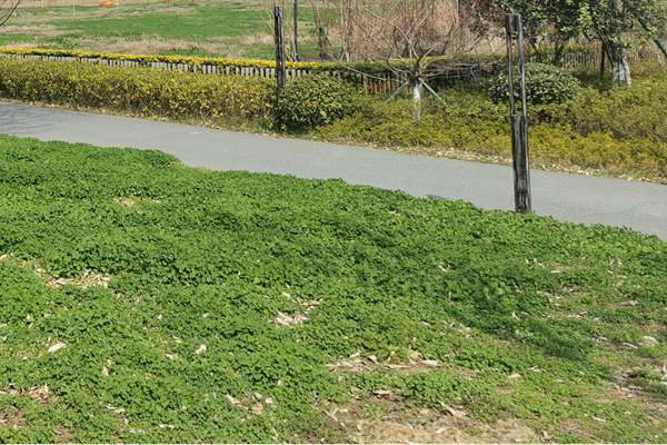 筑牢質(zhì)量“安全線”！珠海市生態(tài)環(huán)境局等四部門加強(qiáng)建設(shè)用地土壤環(huán)境聯(lián)動(dòng)監(jiān)管服務(wù)