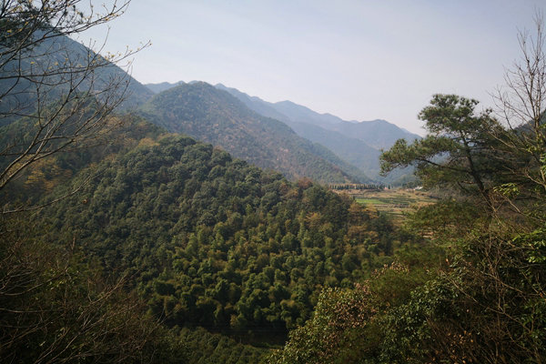 甘肅“五棋聯(lián)動(dòng)”筑牢西部生態(tài)屏障，PM2.5平均濃度連續(xù)兩年同比下降