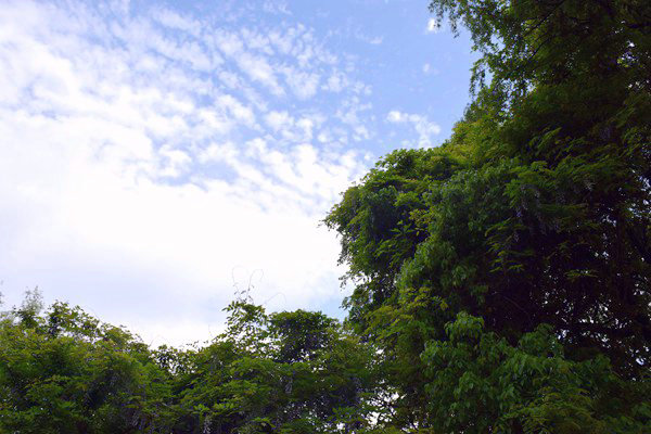 生態(tài)環(huán)境部部長(zhǎng)黃潤(rùn)秋出席甲烷與其他非二氧化碳溫室氣體峰會(huì)并會(huì)見(jiàn)外方高級(jí)代表