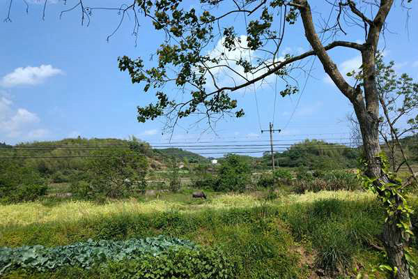 京津冀及周邊地區(qū)出現(xiàn)中至重度污染，多地啟動(dòng)預(yù)警積極應(yīng)對(duì)