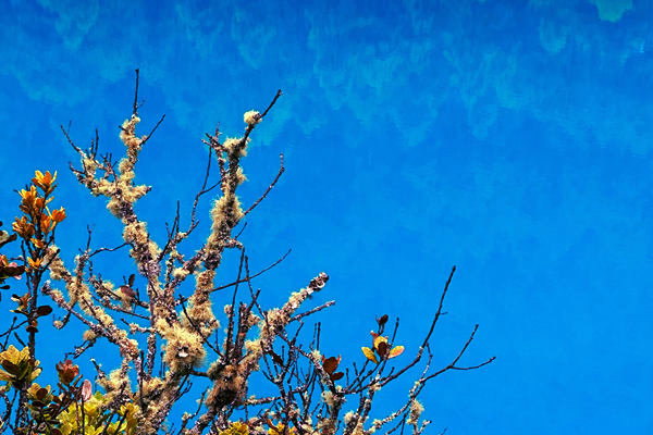 生態(tài)環(huán)境部部長(zhǎng)黃潤(rùn)秋出席COP30“中國(guó)角”系列邊會(huì)活動(dòng)并會(huì)見(jiàn)外方高級(jí)代表