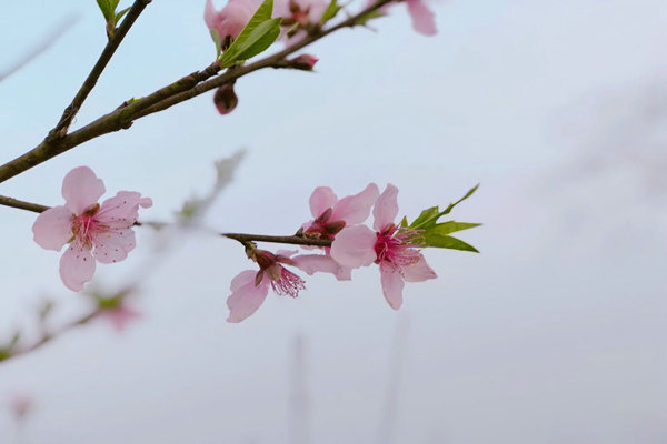 助企精準(zhǔn)治污降本增效，蘇州首個(gè)“炭管家”智慧平臺(tái)全面推廣