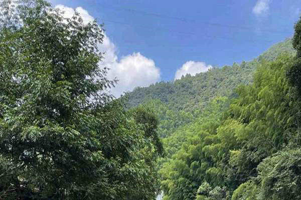 寧夏“十五五”規(guī)劃建議出爐 加快經(jīng)濟(jì)社會(huì)發(fā)展全面綠色轉(zhuǎn)型