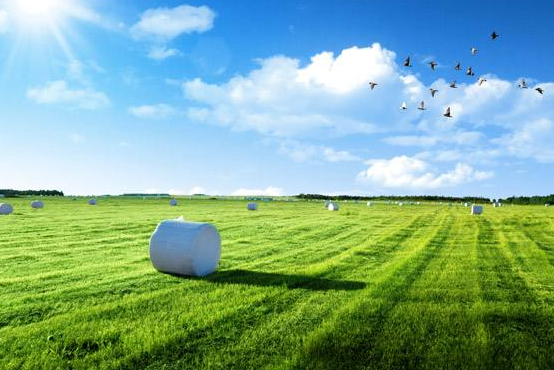 深圳市龍城街道全面消除黑臭水體 重現轄區(qū)河暢水清